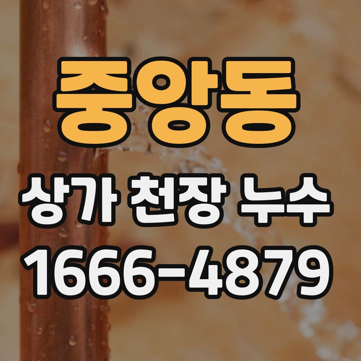 중앙동 상가 천장 누수