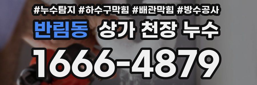 반림동 상가 천장 누수