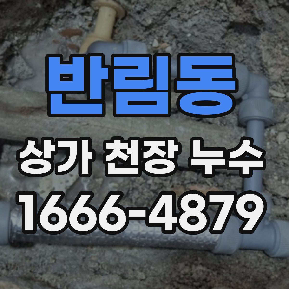 반림동 상가 천장 누수