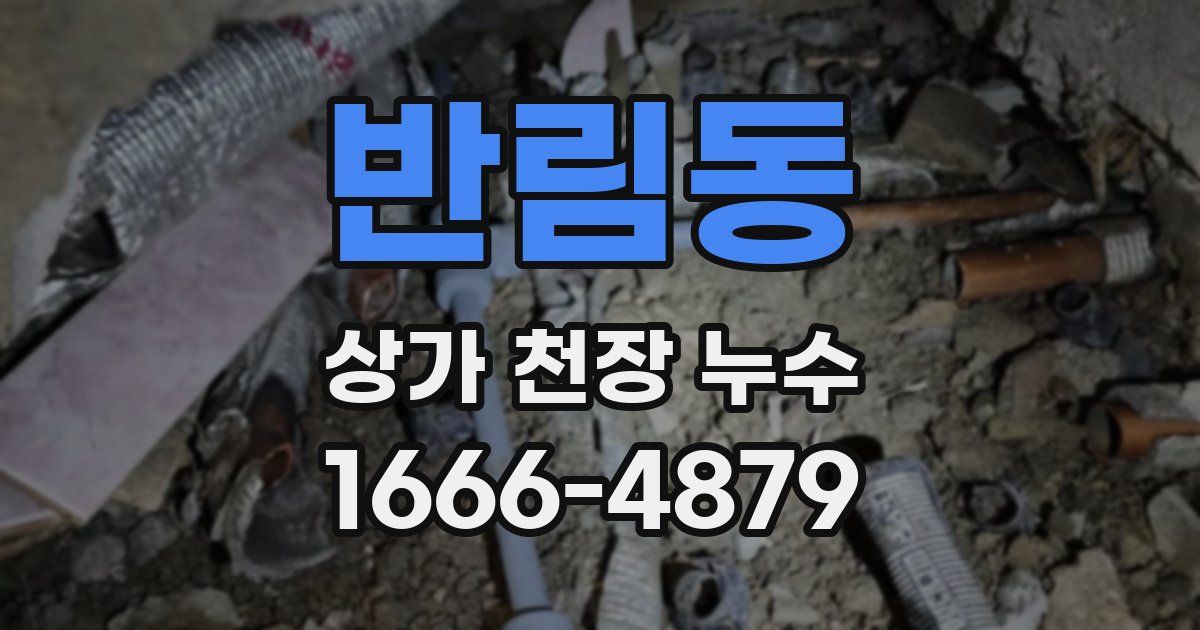 반림동 상가 천장 누수