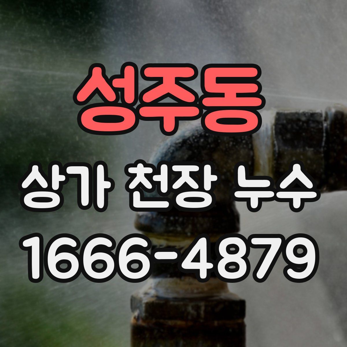 성주동 상가 천장 누수