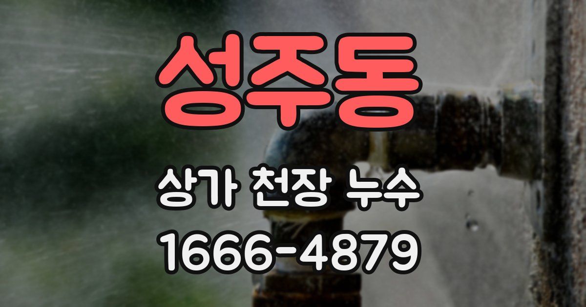 성주동 상가 천장 누수