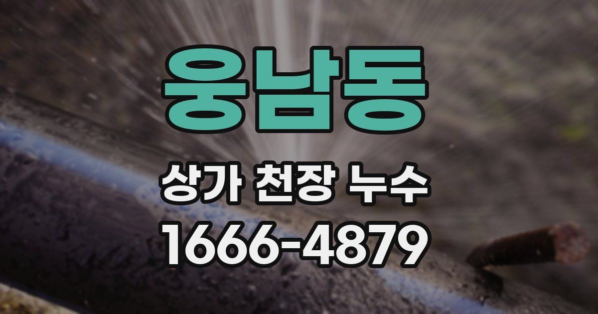 웅남동 상가 천장 누수