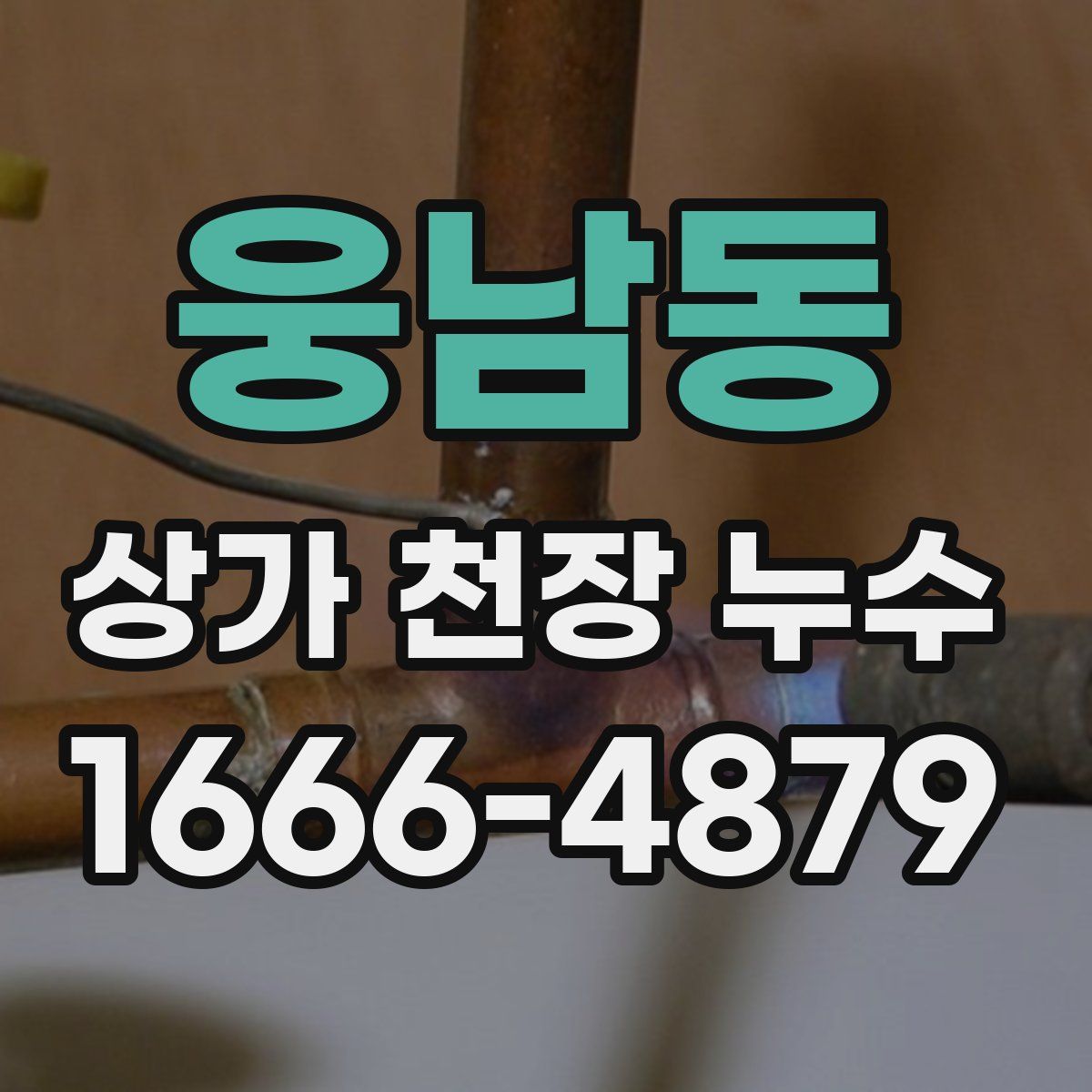 웅남동 상가 천장 누수