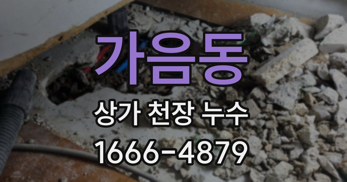 가음동 상가 천장 누수