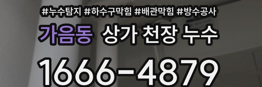 가음동 상가 천장 누수