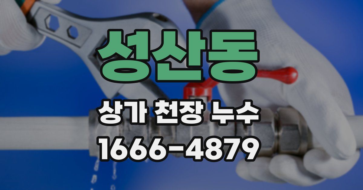 성산동 상가 천장 누수