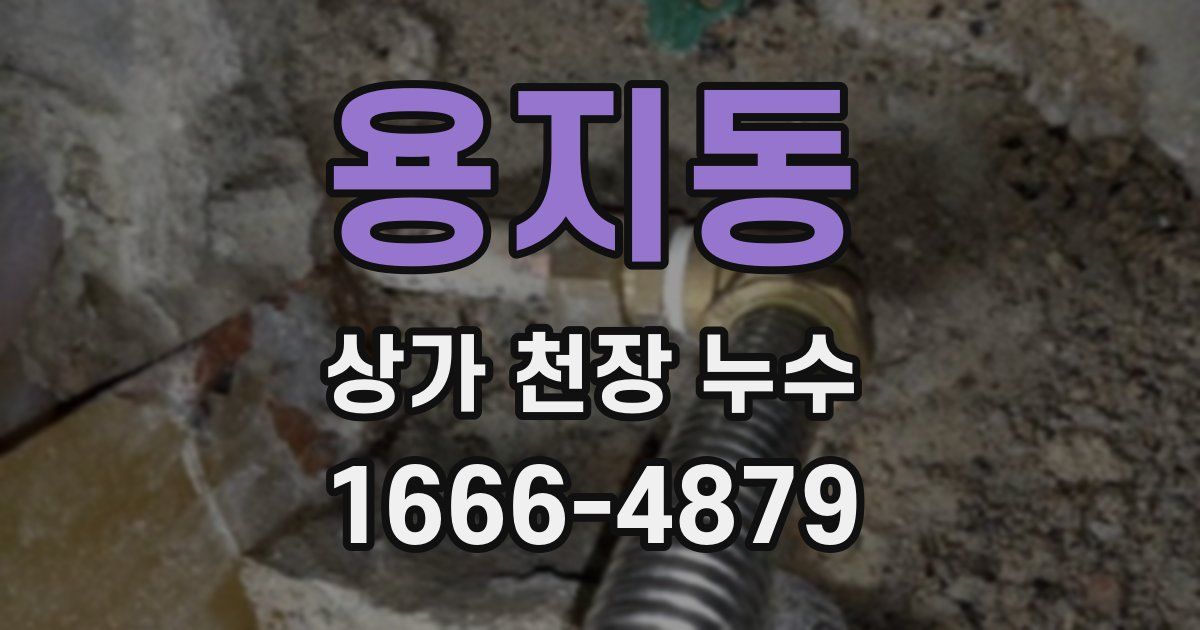 용지동 상가 천장 누수