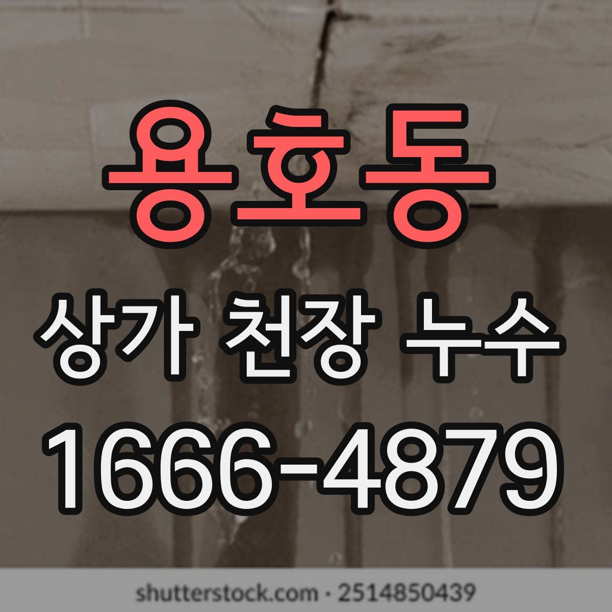 용호동 상가 천장 누수