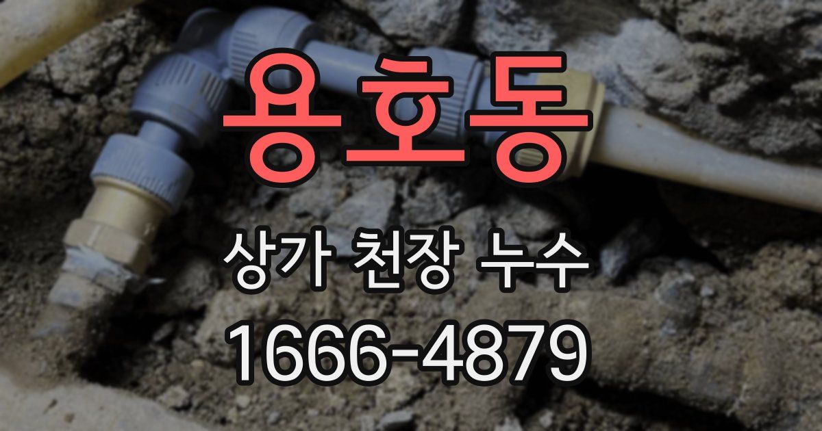용호동 상가 천장 누수