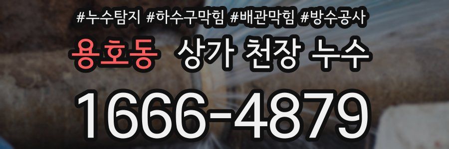 용호동 상가 천장 누수