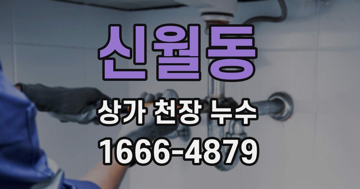 신월동 상가 천장 누수