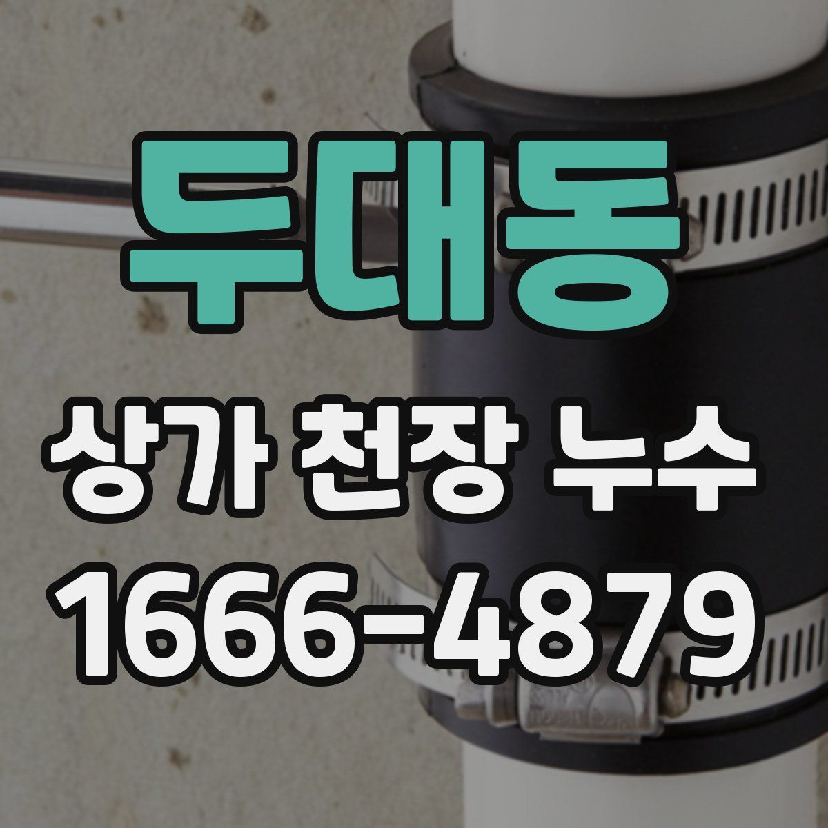 두대동 상가 천장 누수