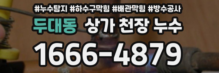두대동 상가 천장 누수