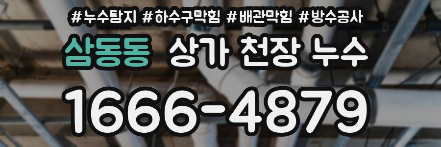 삼동동 상가 천장 누수
