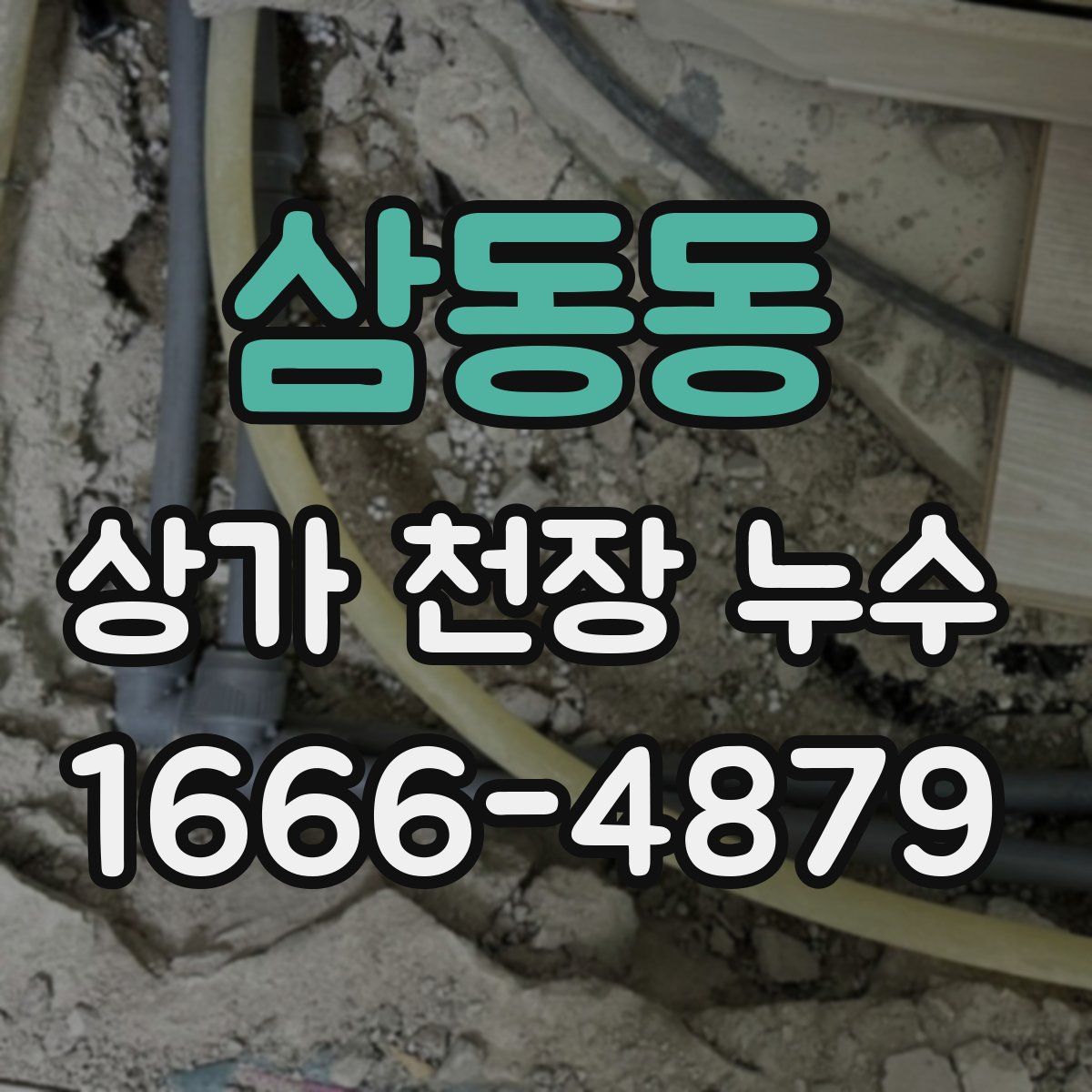 삼동동 상가 천장 누수