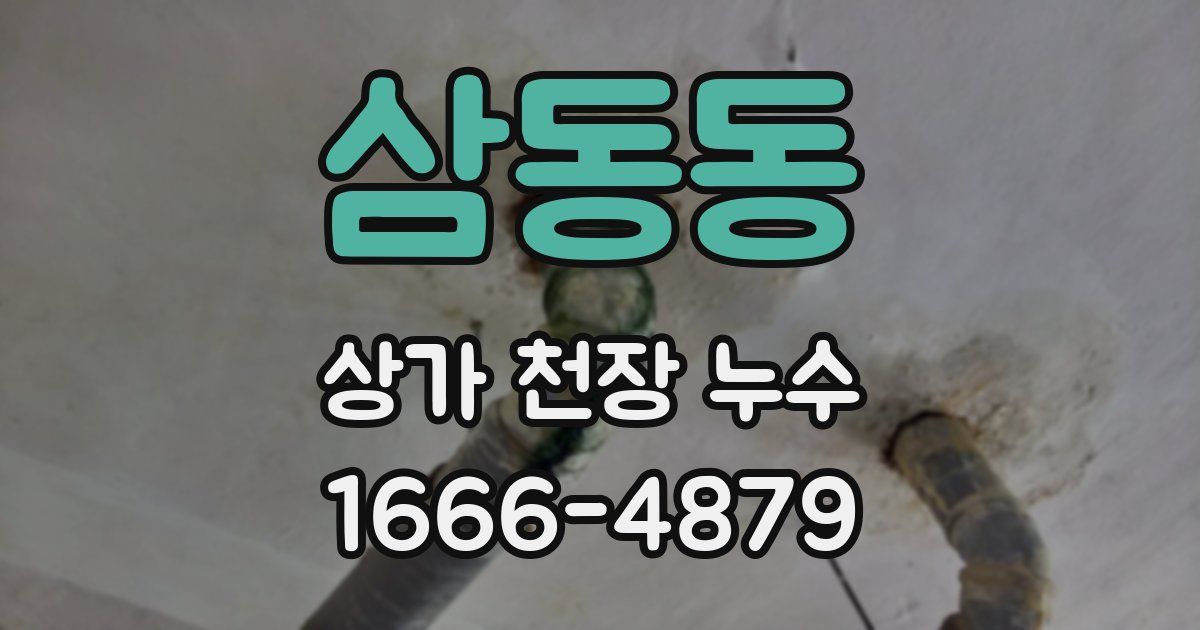 삼동동 상가 천장 누수