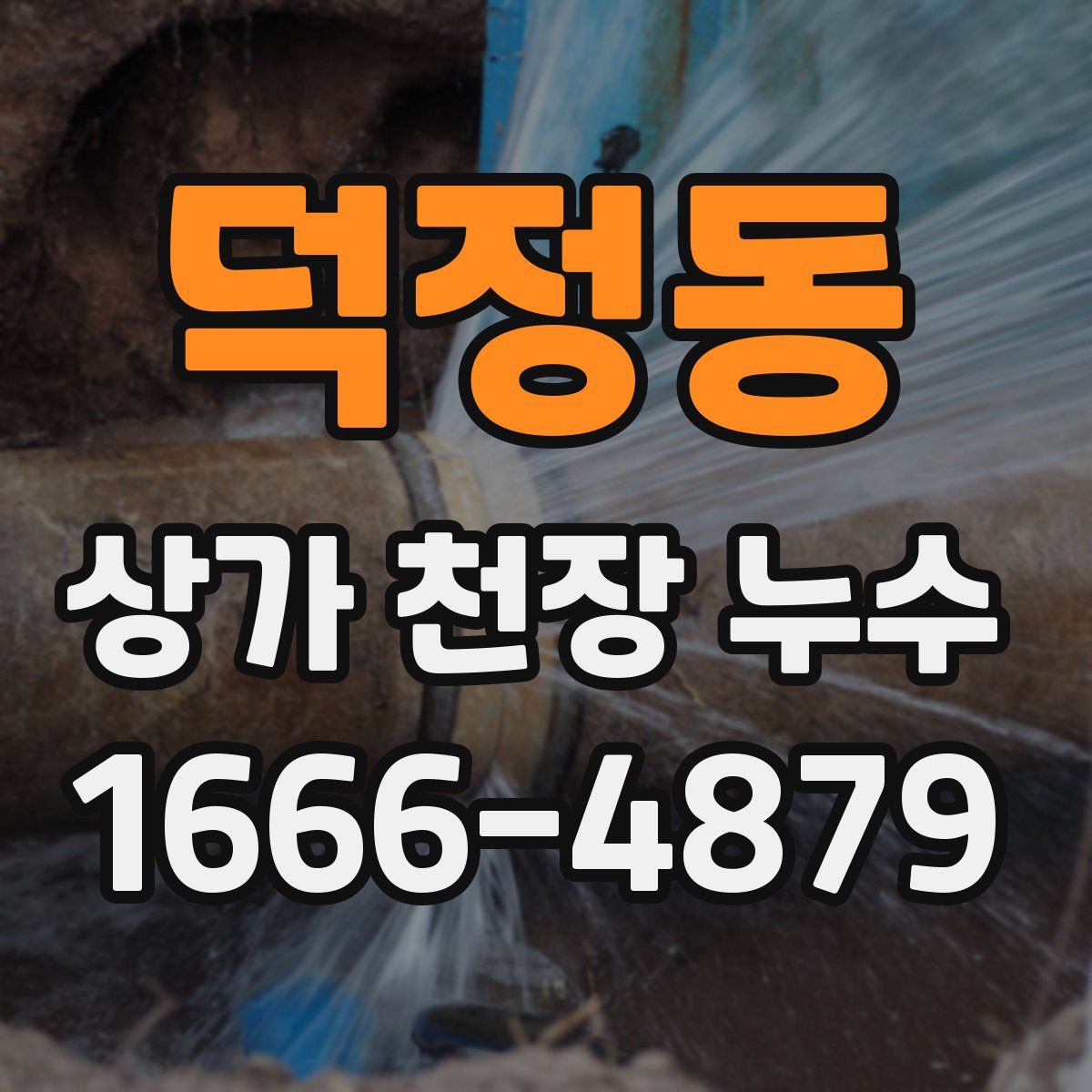 덕정동 상가 천장 누수