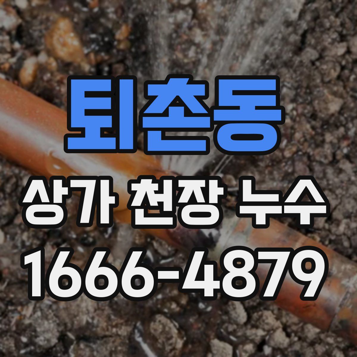 퇴촌동 상가 천장 누수