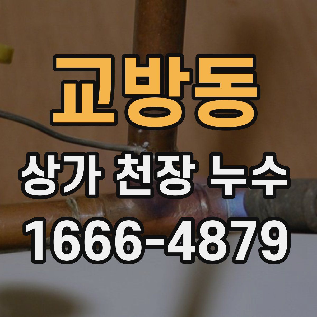 교방동 상가 천장 누수