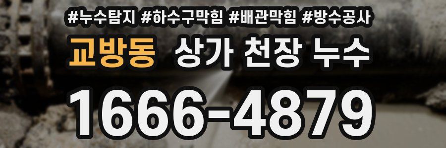 교방동 상가 천장 누수