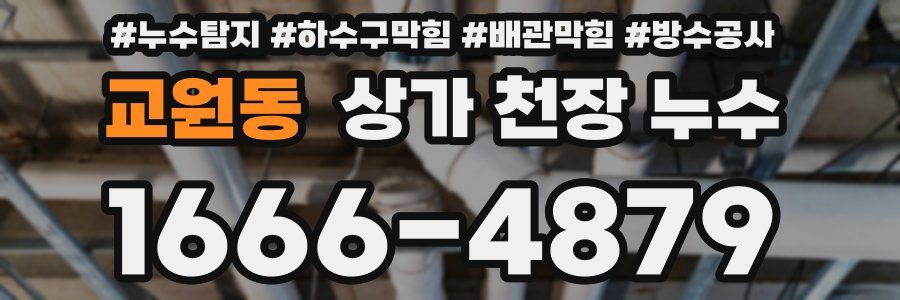 교원동 상가 천장 누수