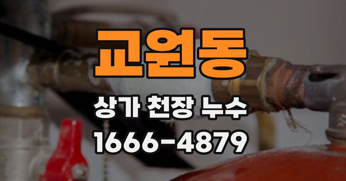 교원동 상가 천장 누수
