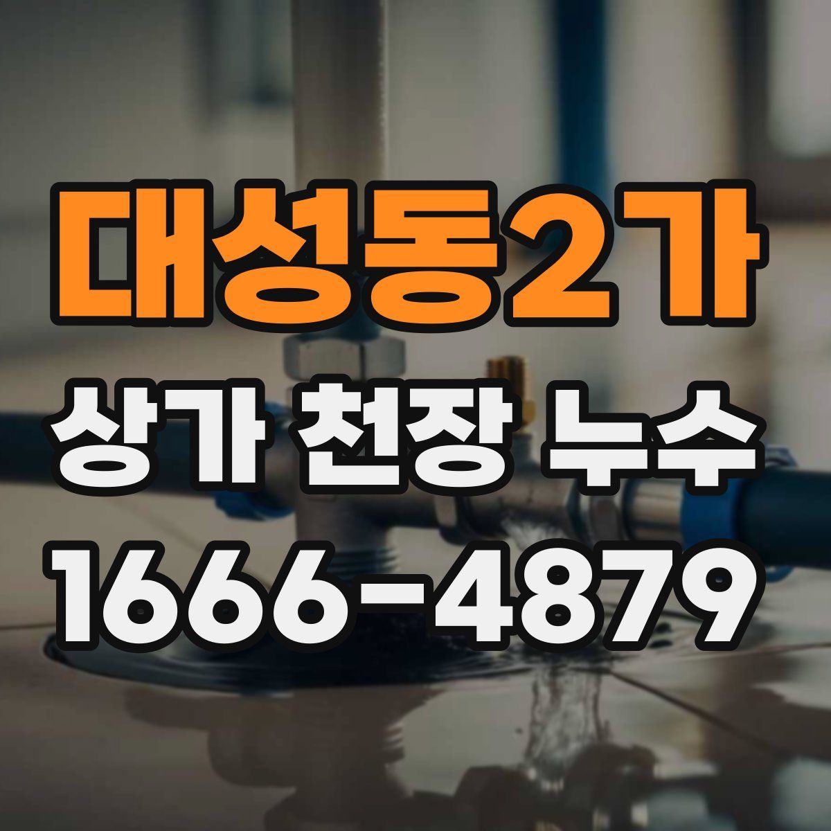 대성동2가 상가 천장 누수