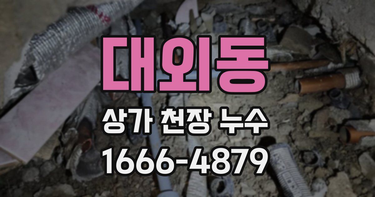대외동 상가 천장 누수