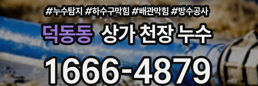 덕동동 상가 천장 누수