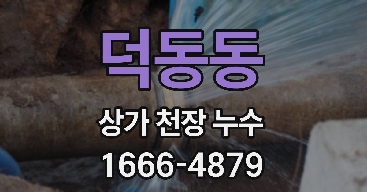 덕동동 상가 천장 누수