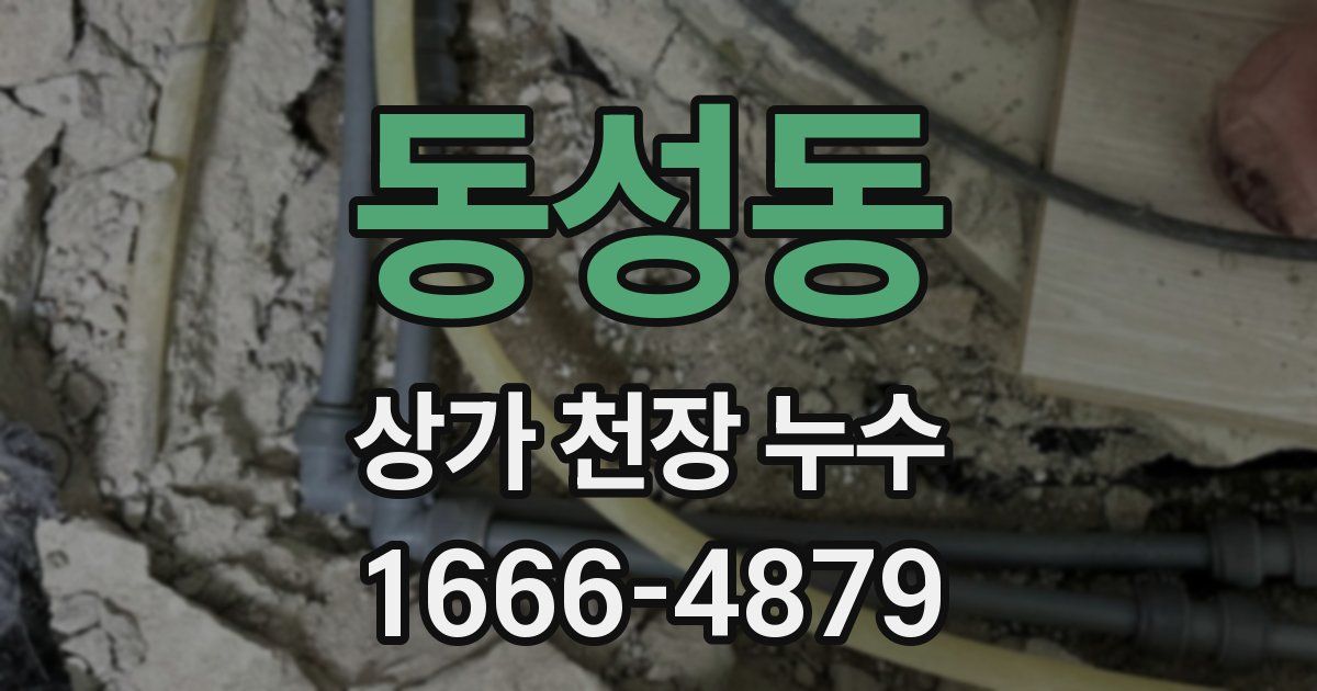 동성동 상가 천장 누수