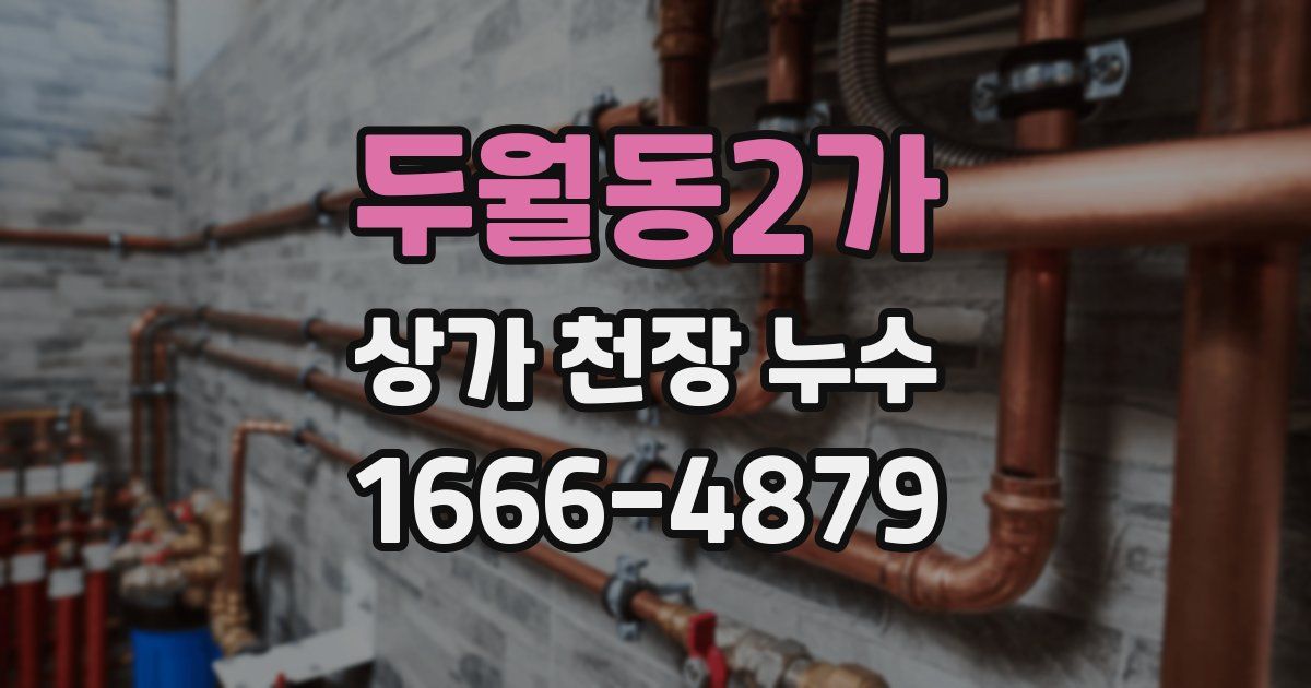 두월동2가 상가 천장 누수