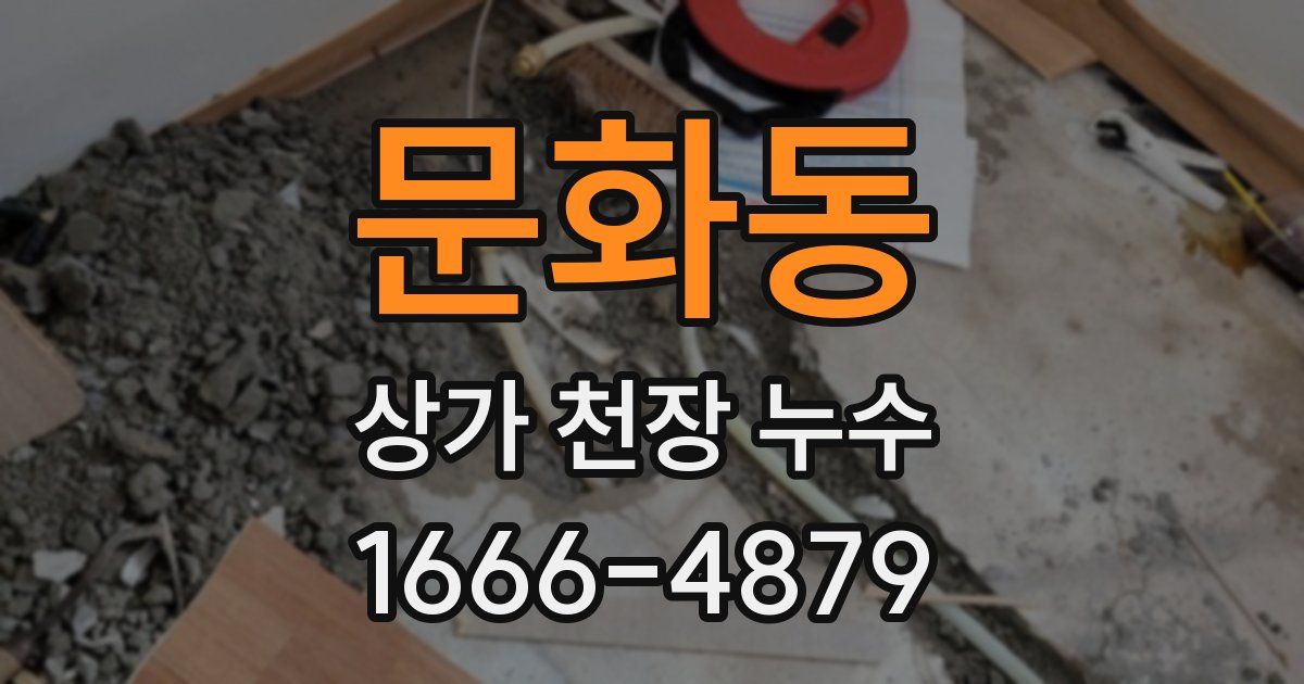 문화동 상가 천장 누수