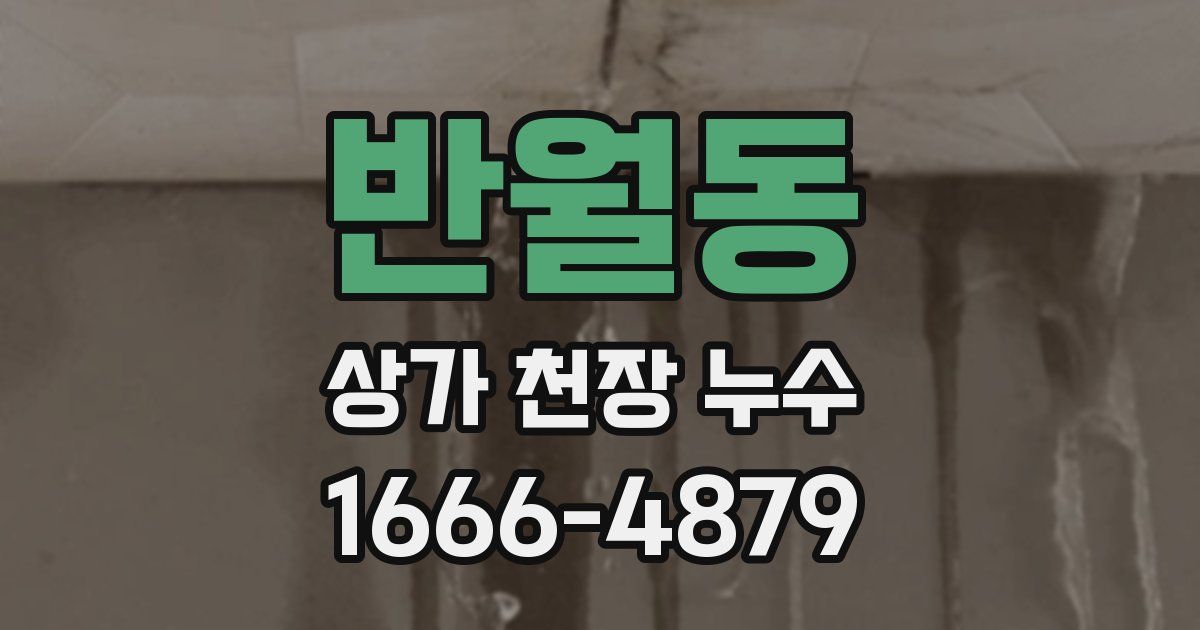 반월동 상가 천장 누수