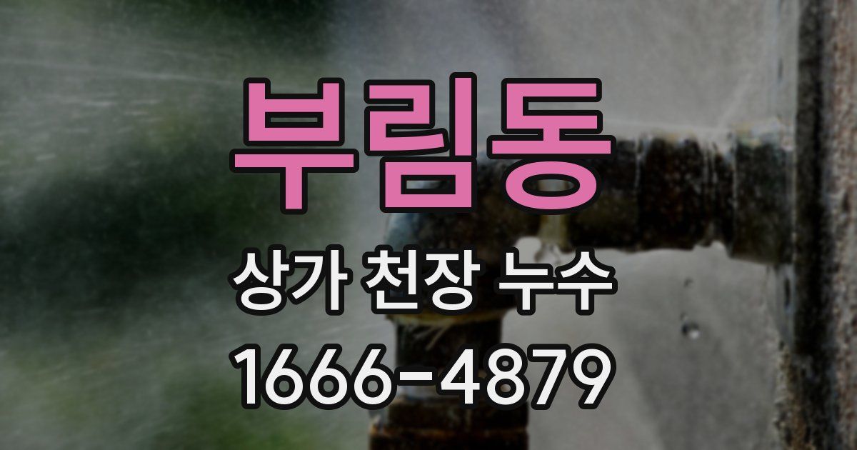 부림동 상가 천장 누수