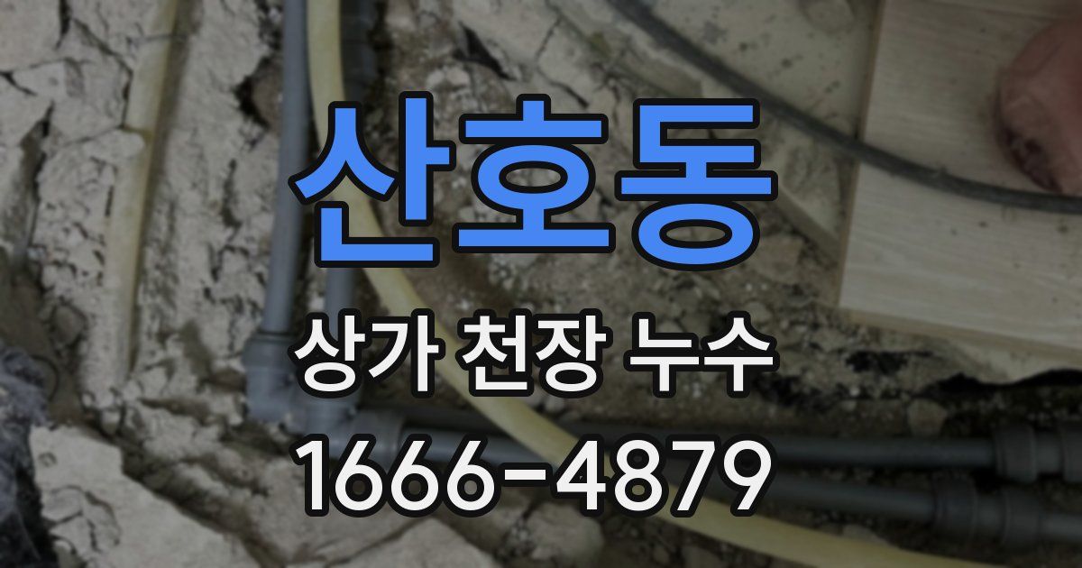 산호동 상가 천장 누수