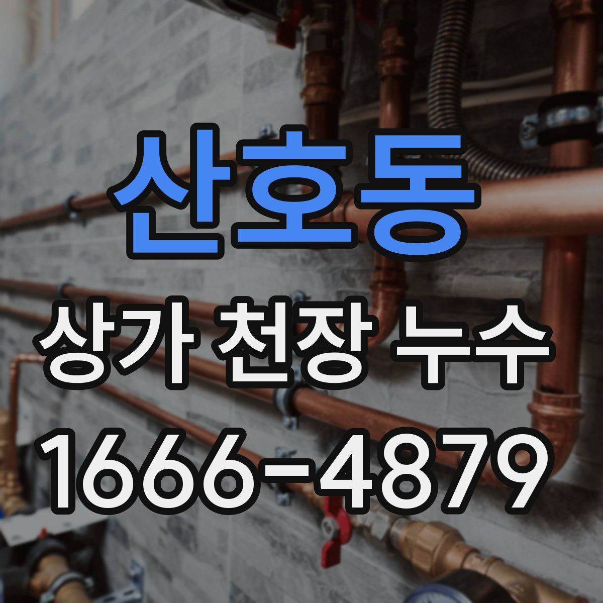 산호동 상가 천장 누수