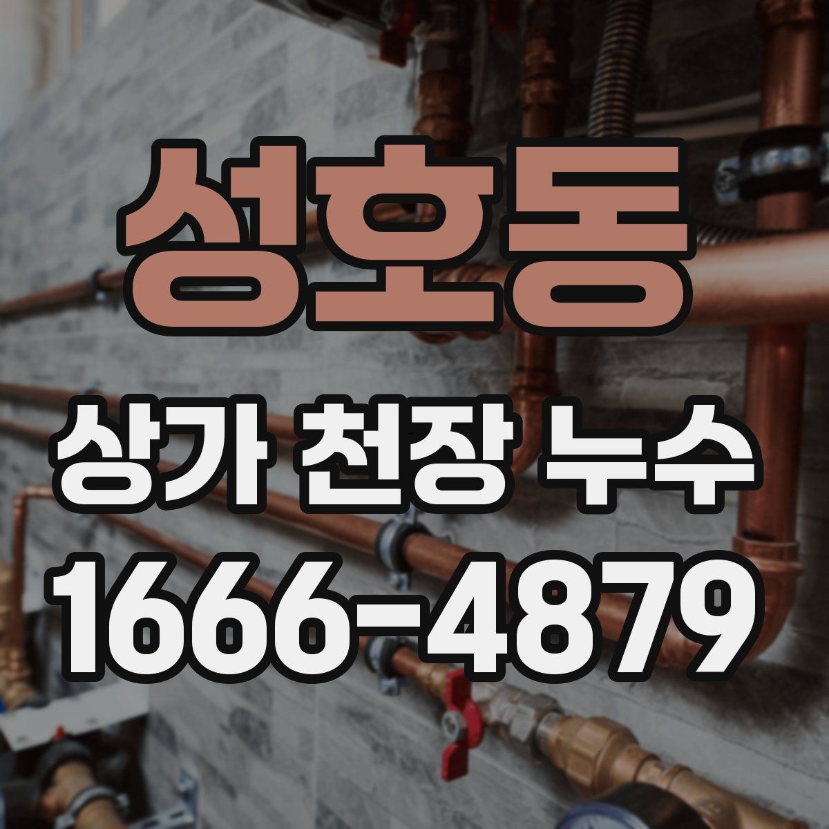 성호동 상가 천장 누수