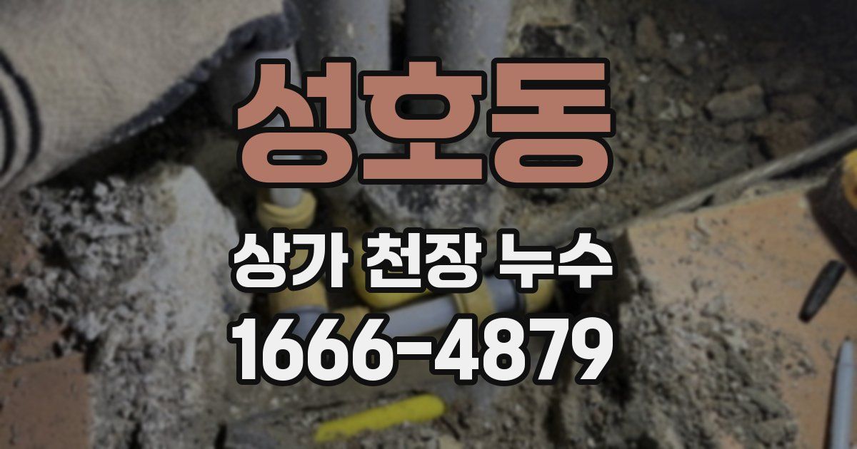 성호동 상가 천장 누수