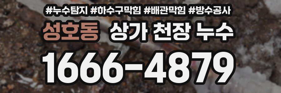성호동 상가 천장 누수