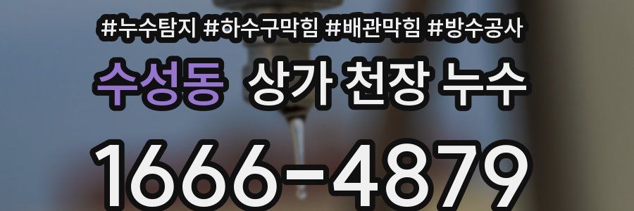 수성동 상가 천장 누수