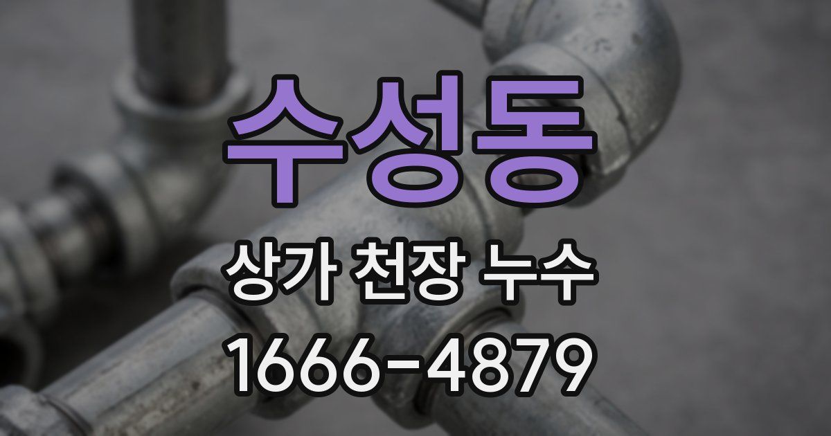 수성동 상가 천장 누수