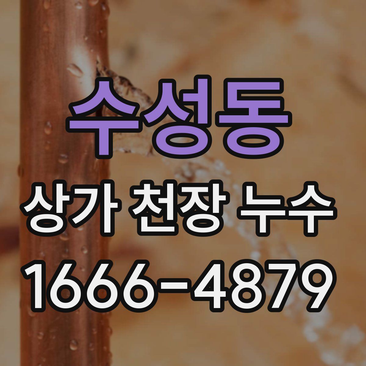 수성동 상가 천장 누수
