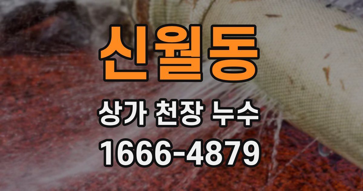 신월동 상가 천장 누수