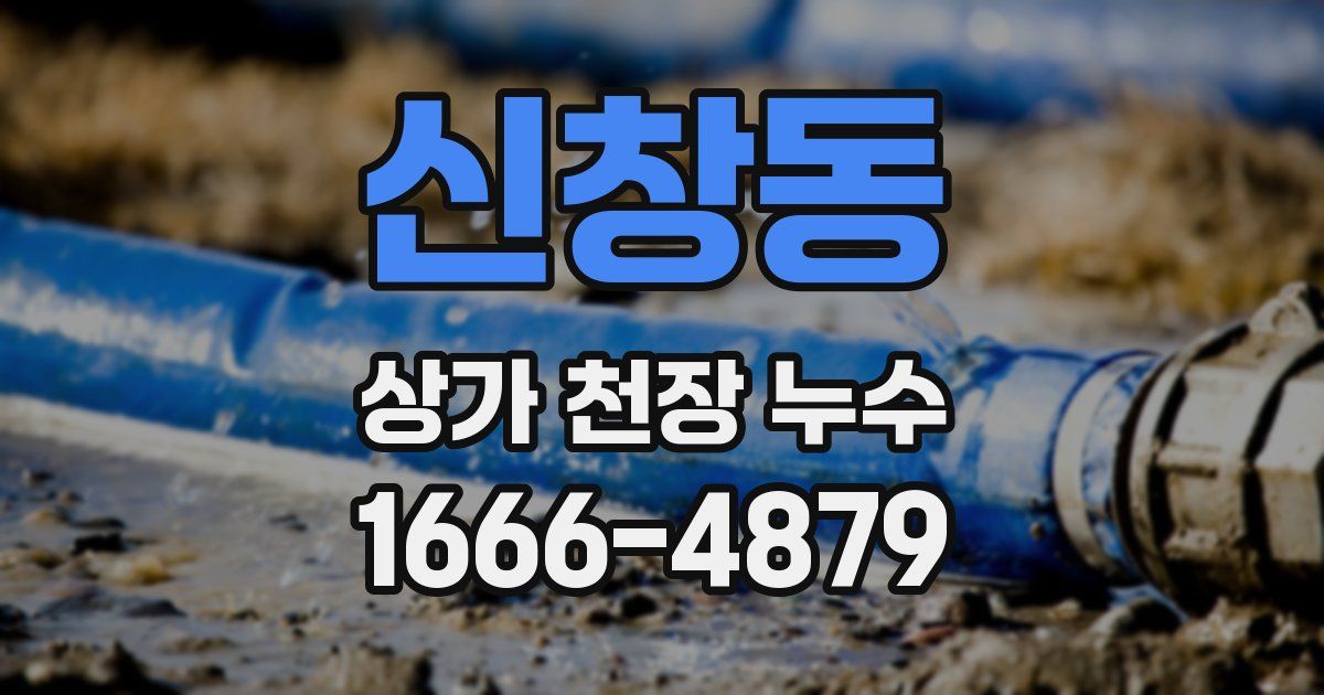 신창동 상가 천장 누수