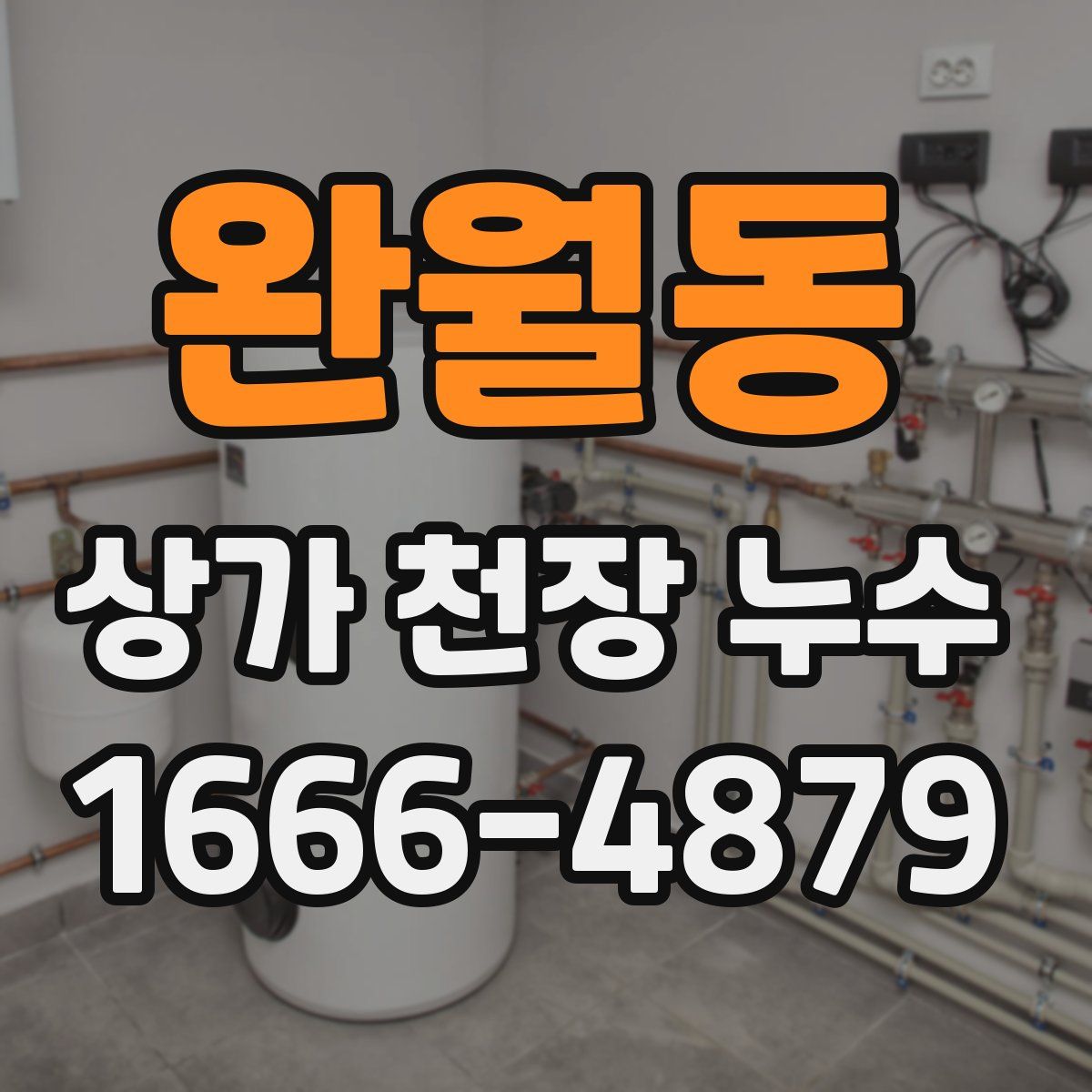 완월동 상가 천장 누수