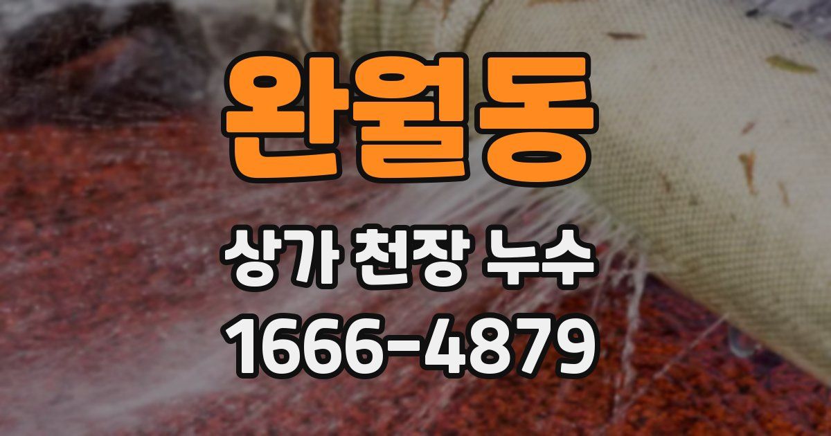 완월동 상가 천장 누수