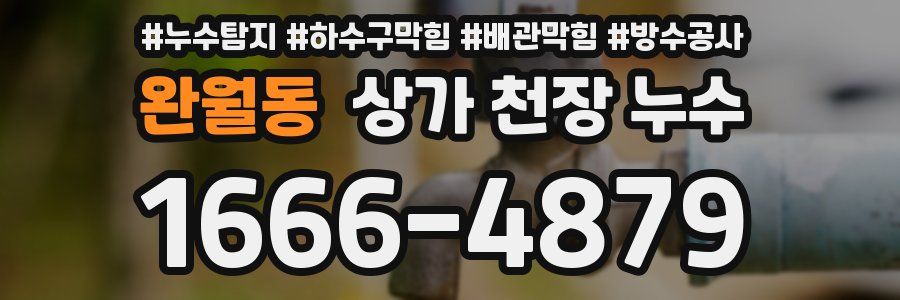 완월동 상가 천장 누수