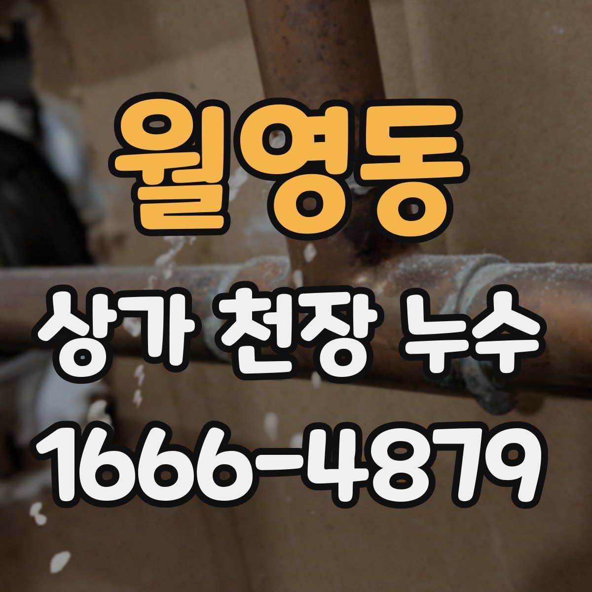 월영동 상가 천장 누수